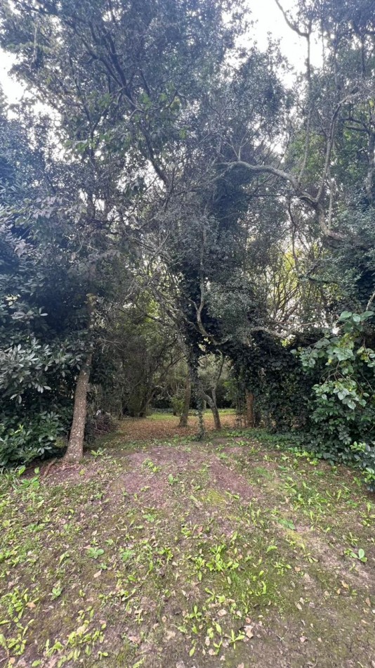 VENTA RETASADA!!! Punta del Indio Hermosa Casa K-1179