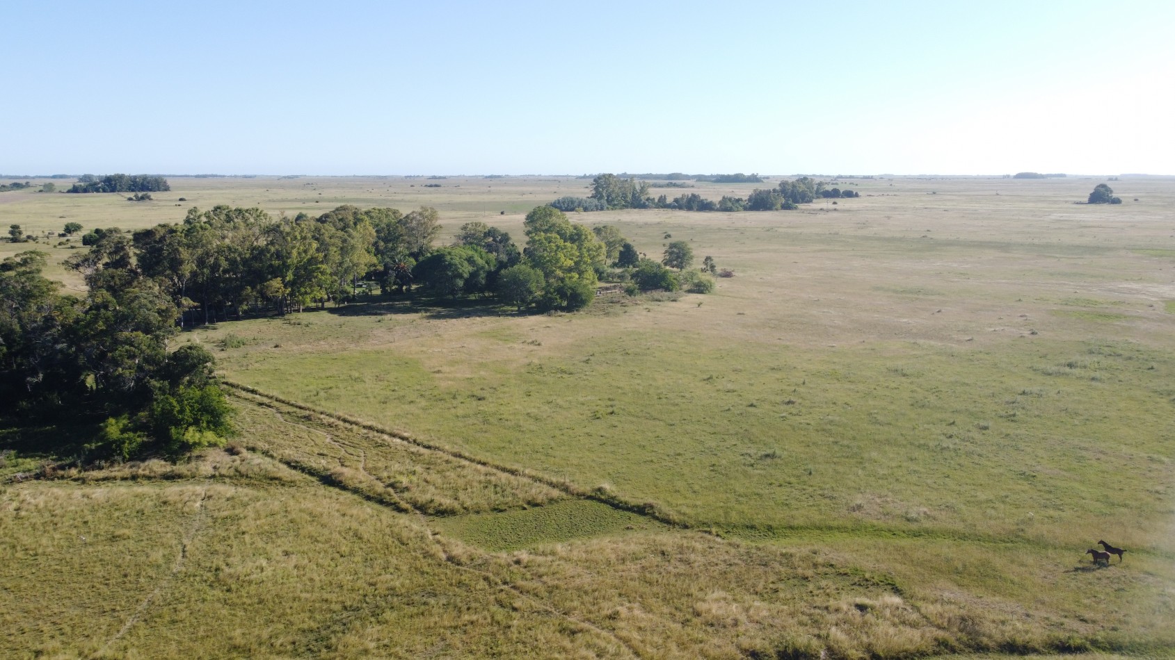 CAMPO - VENTA - FRENTE RUTA - 36 Has (2 Fracciones) En Veronica C-171