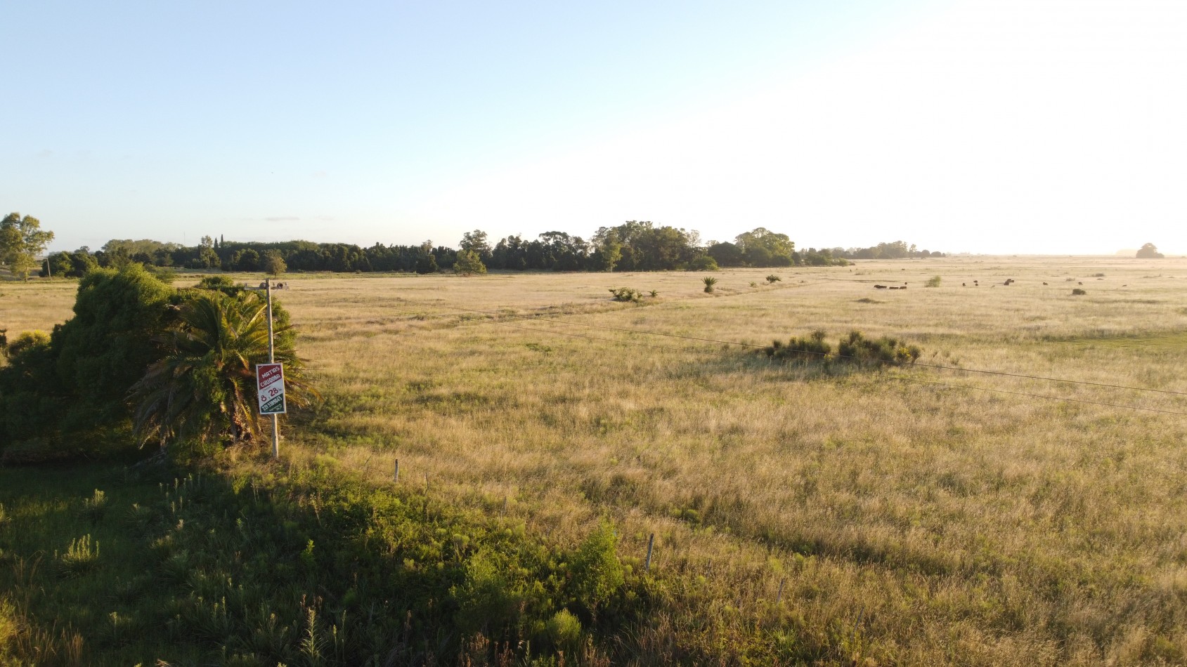 CAMPO - VENTA - FRENTE RUTA - 36 Has (2 Fracciones) En Veronica C-171
