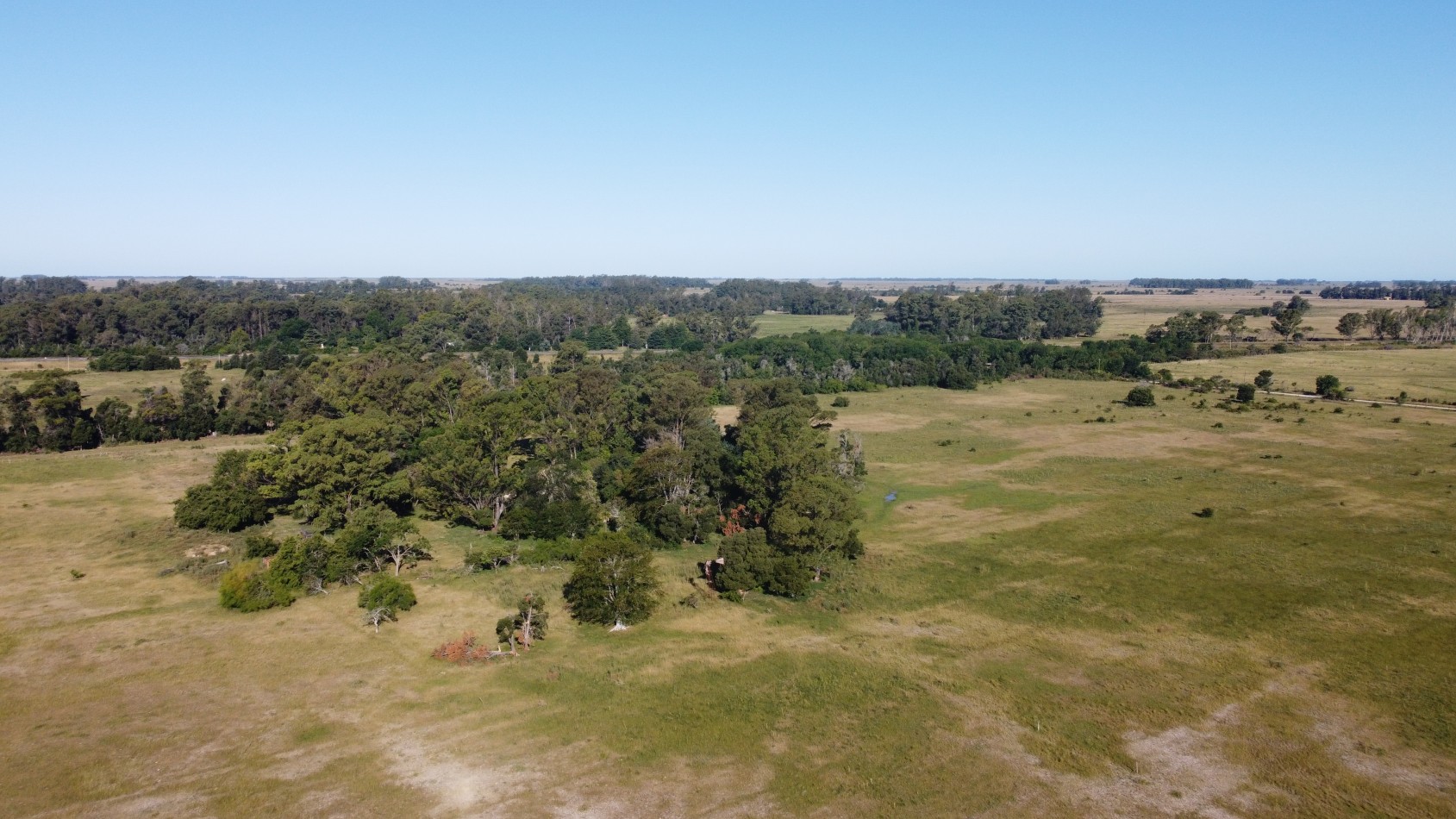 CAMPO - VENTA - FRENTE RUTA - 36 Has (2 Fracciones) En Veronica C-171