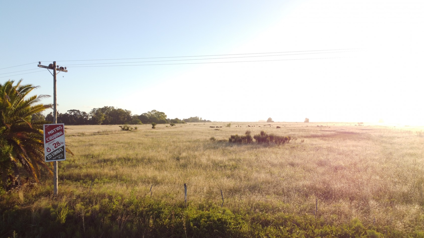 CAMPO - VENTA - FRENTE RUTA - 36 Has (2 Fracciones) En Veronica C-171