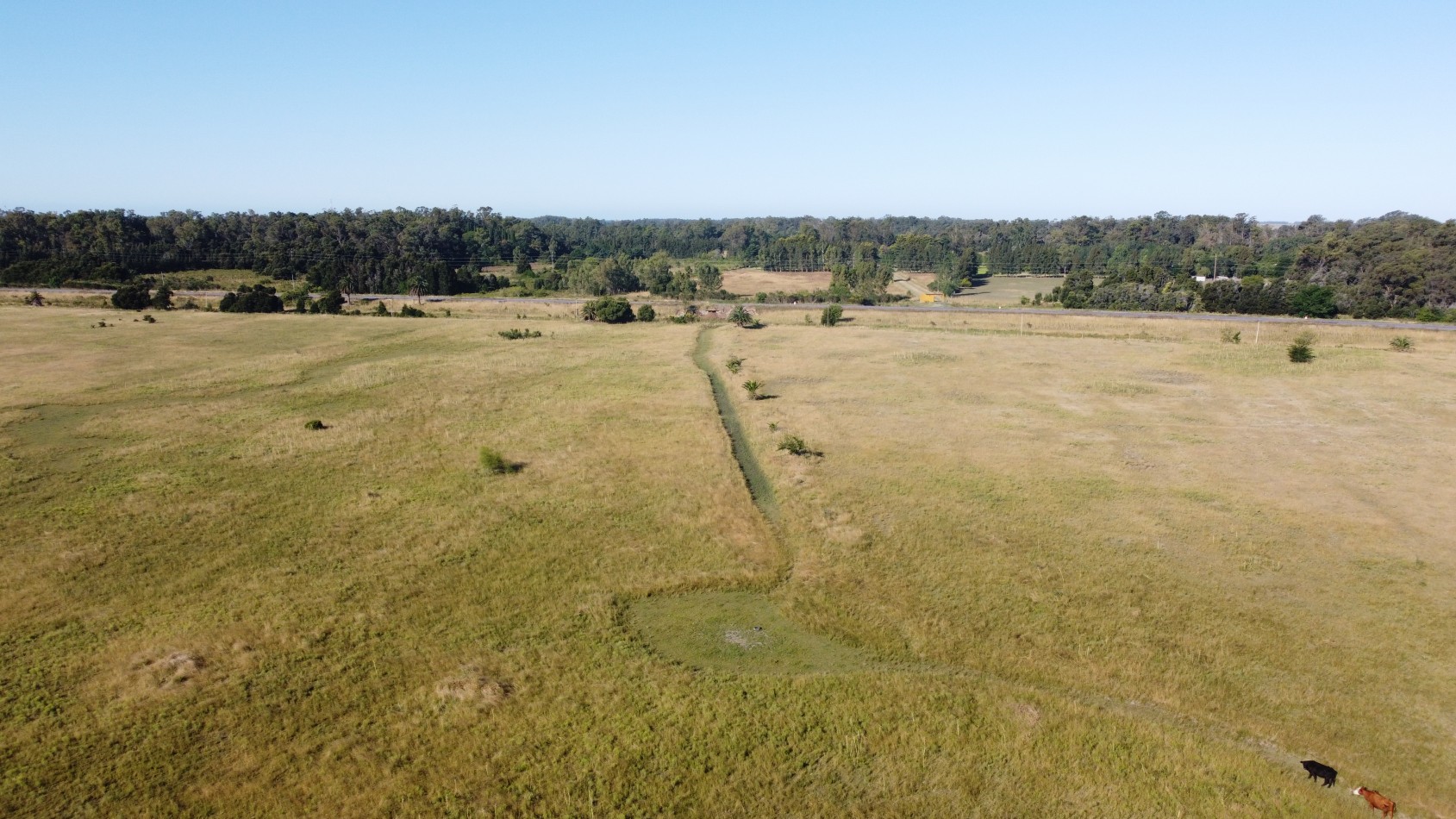 CAMPO - VENTA - FRENTE RUTA - 36 Has (2 Fracciones) En Veronica C-171
