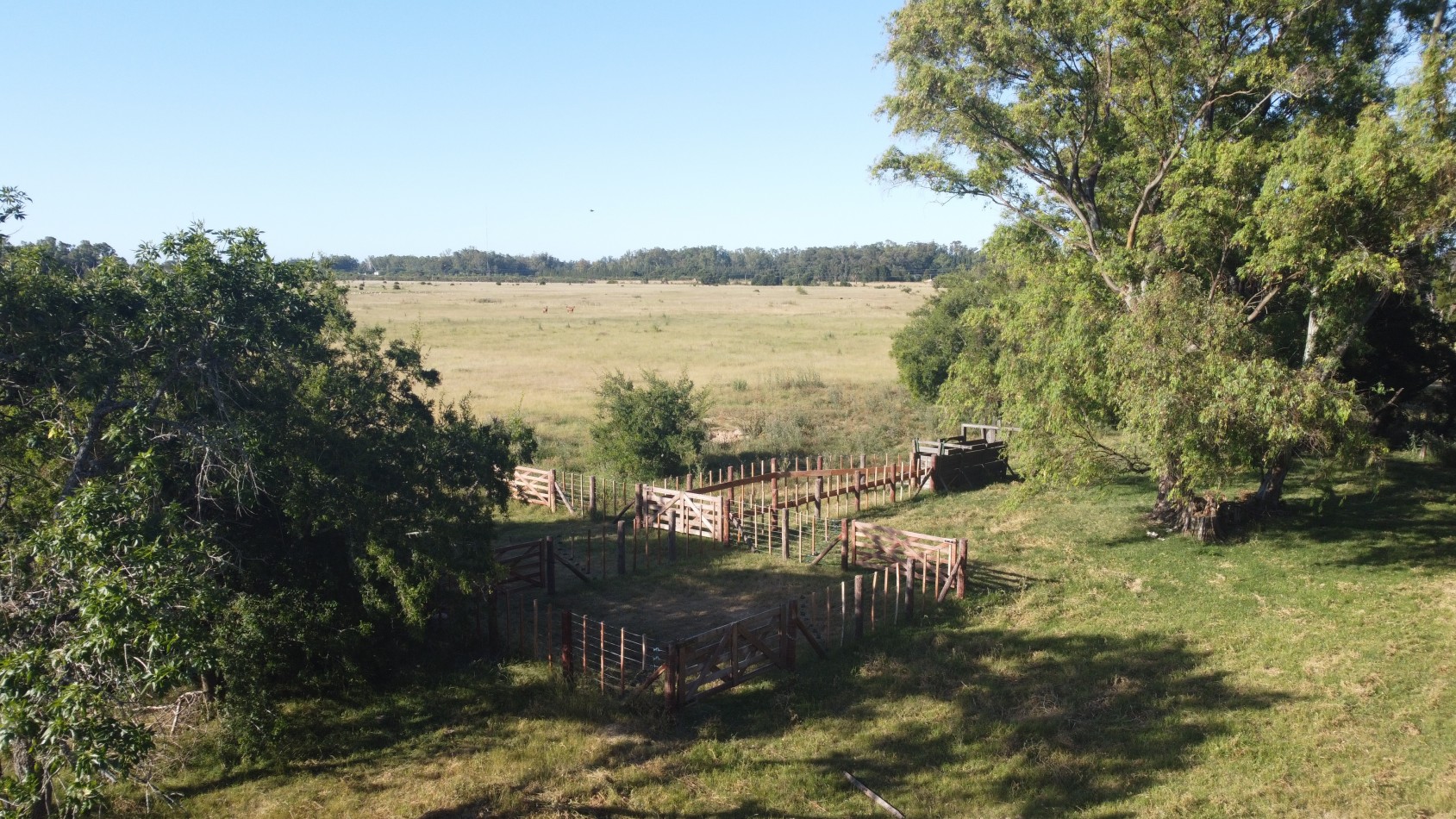 CAMPO - VENTA - FRENTE RUTA - 36 Has (2 Fracciones) En Veronica C-171