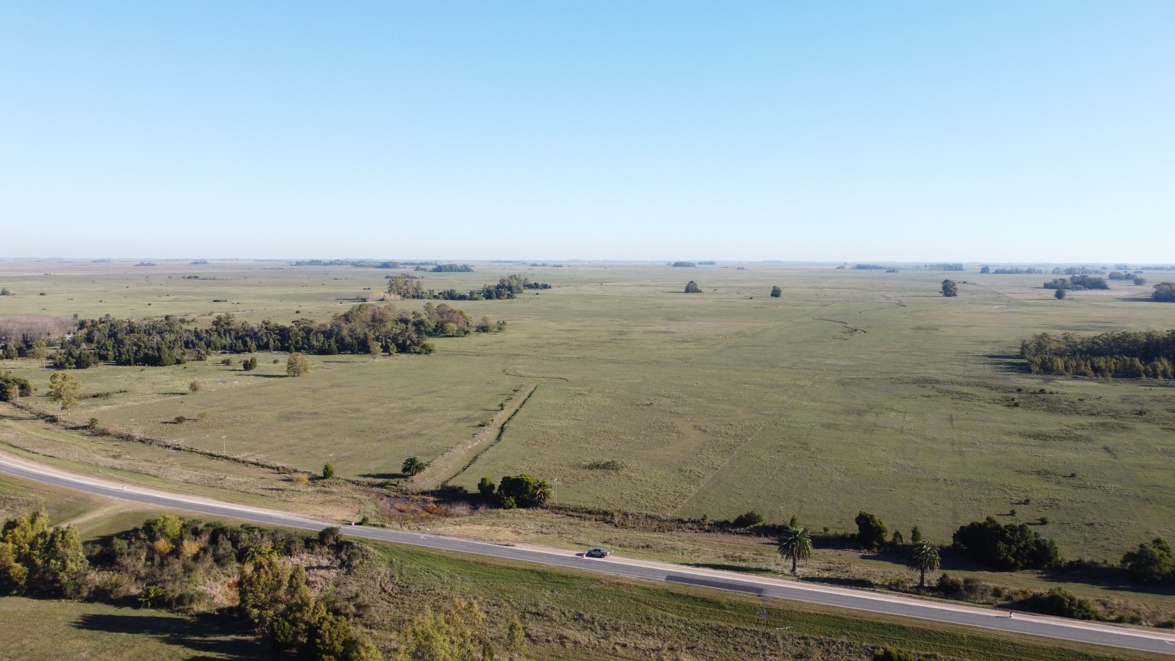 CAMPO - VENTA - FRENTE RUTA - 36 Has (2 Fracciones) En Veronica C-171