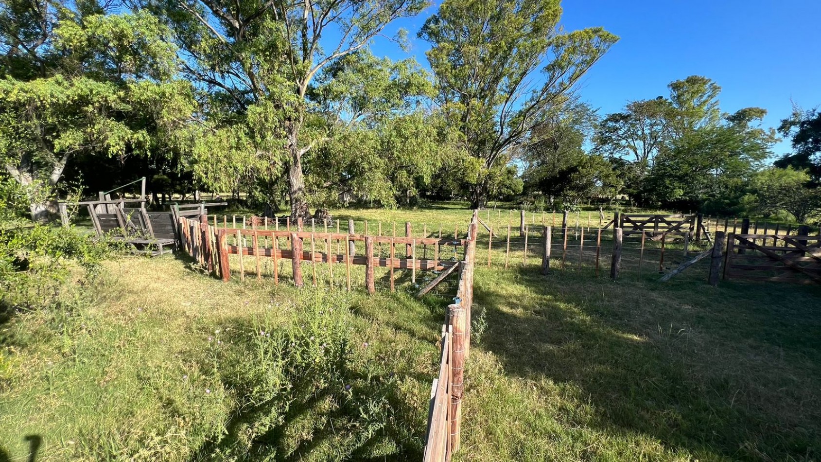 CAMPO - VENTA - FRENTE RUTA - 36 Has (2 Fracciones) En Veronica C-171