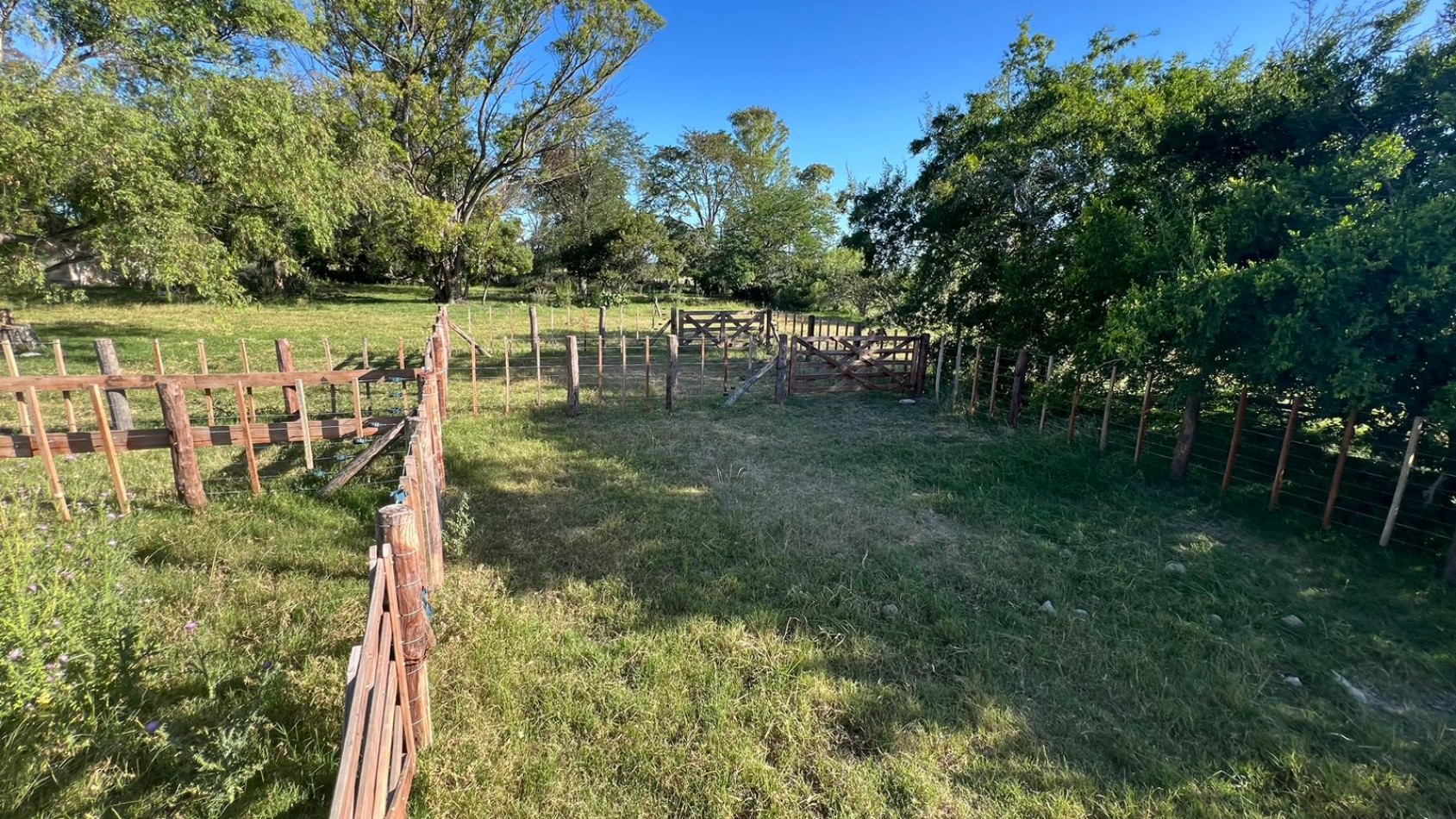 CAMPO - VENTA - FRENTE RUTA - 36 Has (2 Fracciones) En Veronica C-171