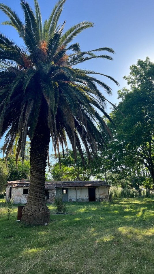 CAMPO - VENTA - FRENTE RUTA - 36 Has (2 Fracciones) En Veronica C-171