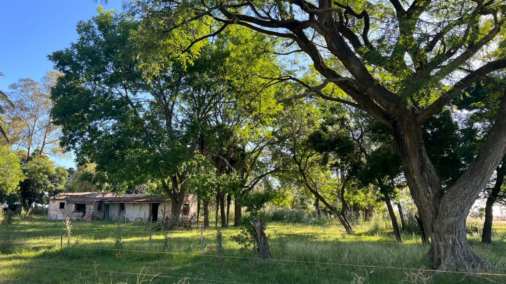 CAMPO - VENTA - FRENTE RUTA - 36 Has (2 Fracciones) En Veronica C-171