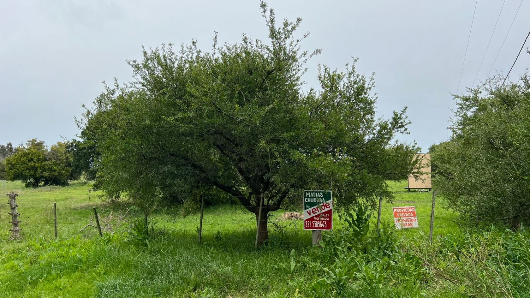 LOTE - VENTA - EN PUNTA DEL INDIO 