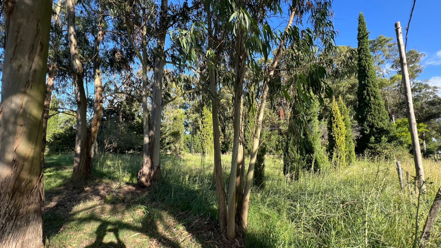 LOTE - VENTA - 798M² VERONICA  T-797