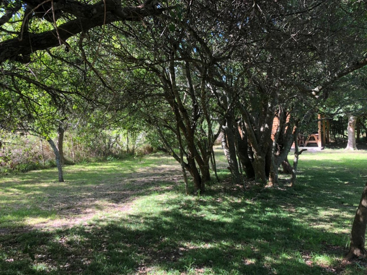 VENTA CABAÑA CASA EN PUNTA INDIO K-1112