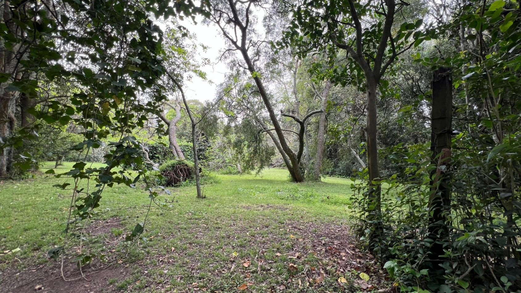 LOTES - VENTA - PUNTA DEL INDIO T-794