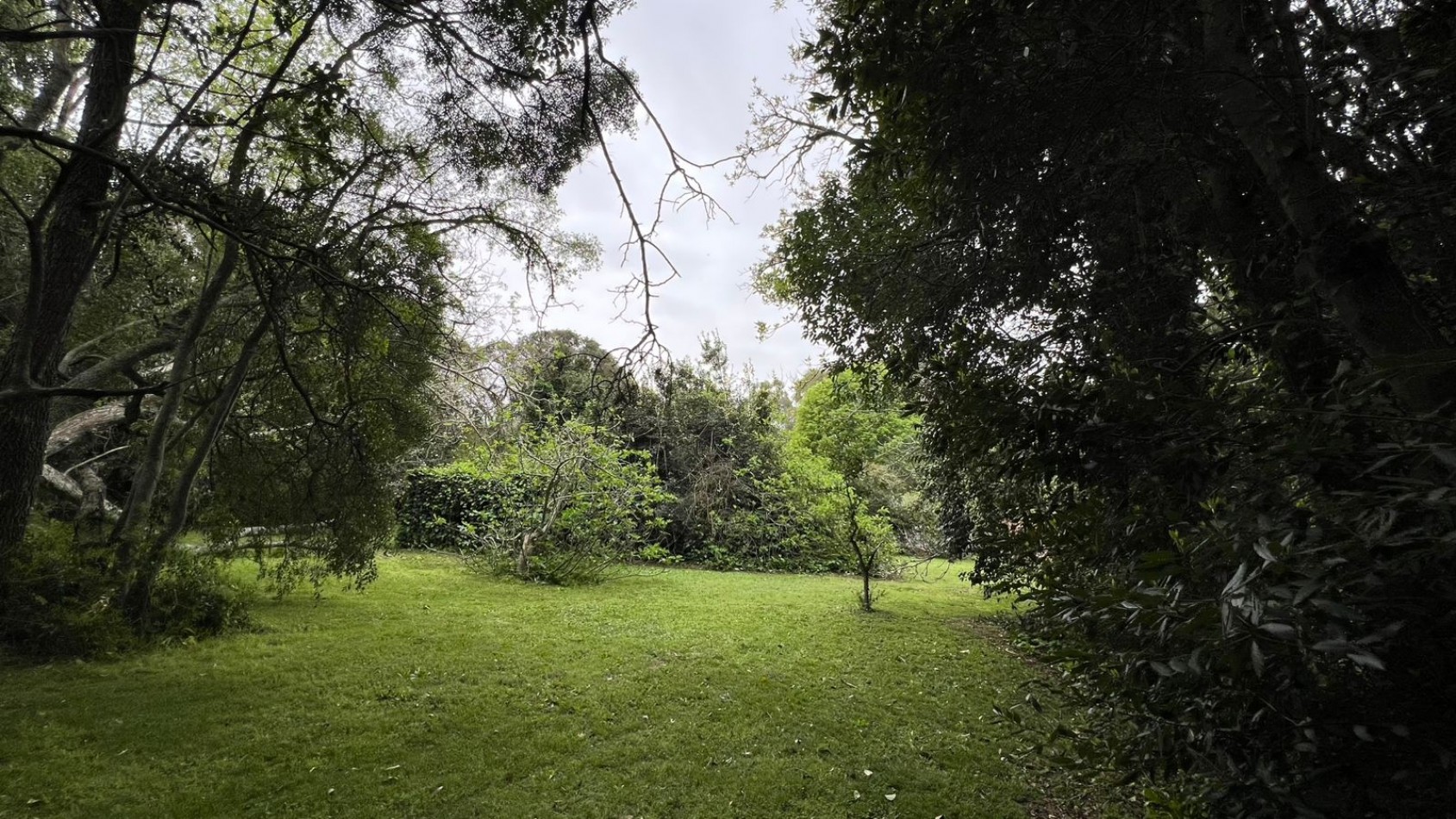 LOTES - VENTA - PUNTA DEL INDIO T-794