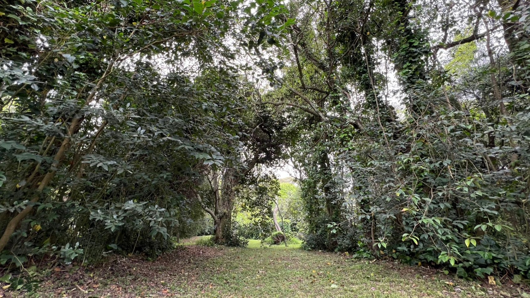 LOTE - VENTA - PUNTA DEL INDIO T-794