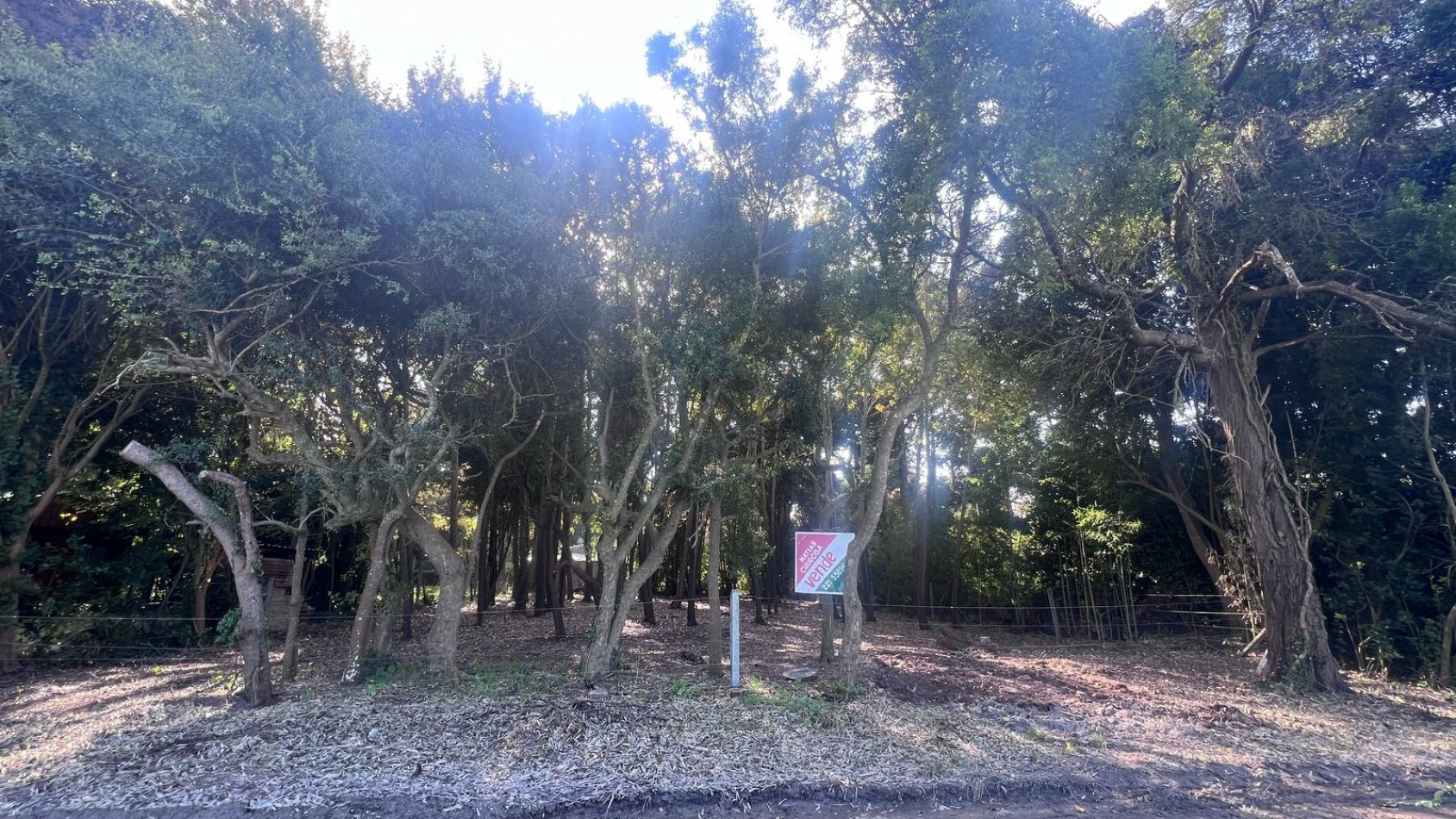 VENTA LOTE PUNTA INDIO T-802