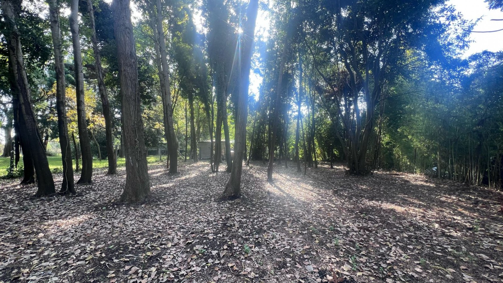 VENTA LOTE PUNTA INDIO T-802