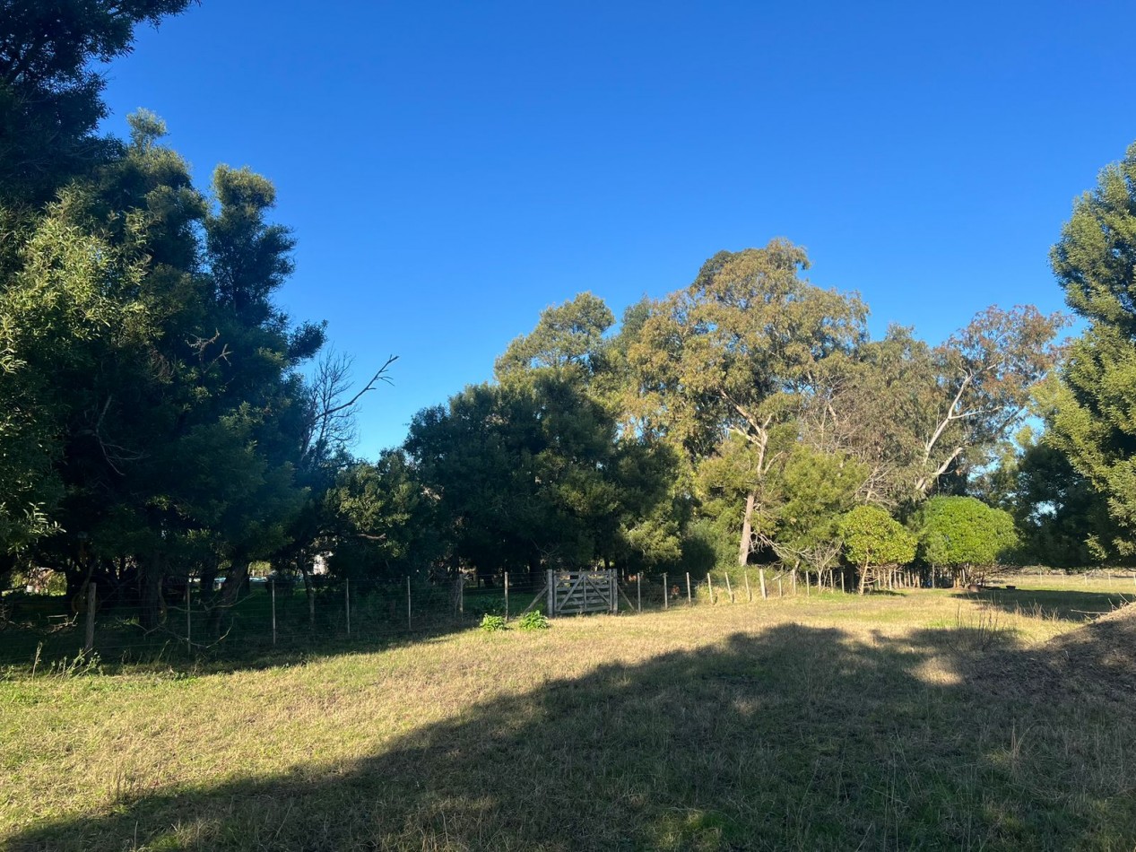 VENTA LOTE AMPLIO VERONICA - PUNTA INDIO T-804