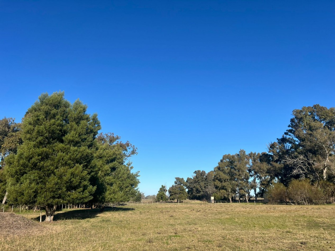 VENTA LOTE AMPLIO VERONICA - PUNTA INDIO T-804