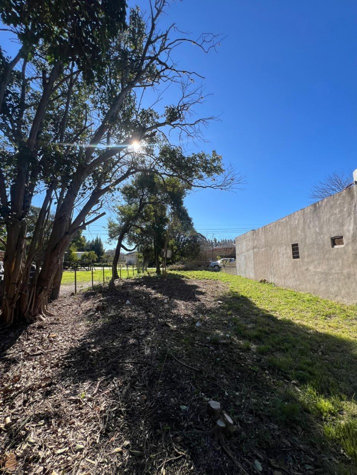 VENTA LOTE VERONICA - PUNTA INDIO T-806