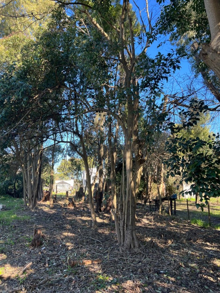 VENTA LOTE VERONICA - PUNTA INDIO T-806