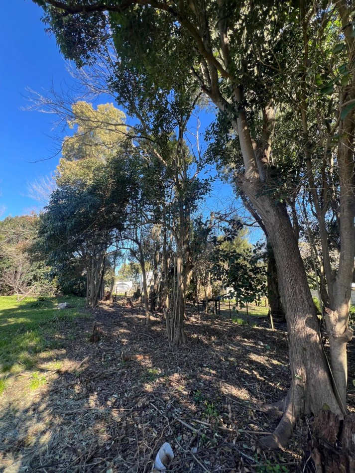 VENTA LOTE VERONICA - PUNTA INDIO T-806