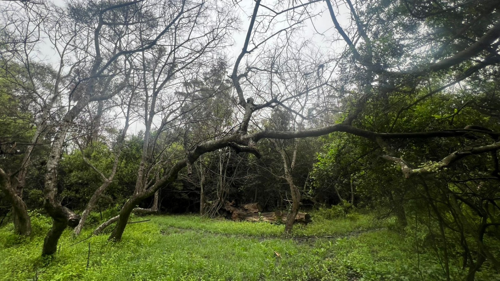 VENDE LOTE AMPLIO - 5.000 M² - PUNTA INDIO