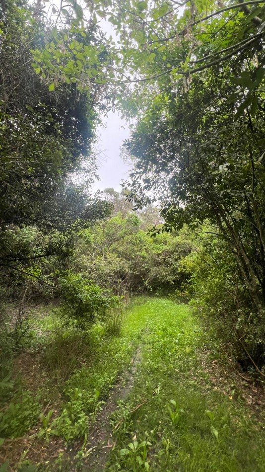 VENDE LOTE AMPLIO - 5.000 M² - PUNTA INDIO