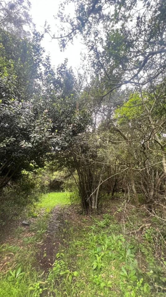 VENDE LOTE AMPLIO - 5.000 M² - PUNTA INDIO