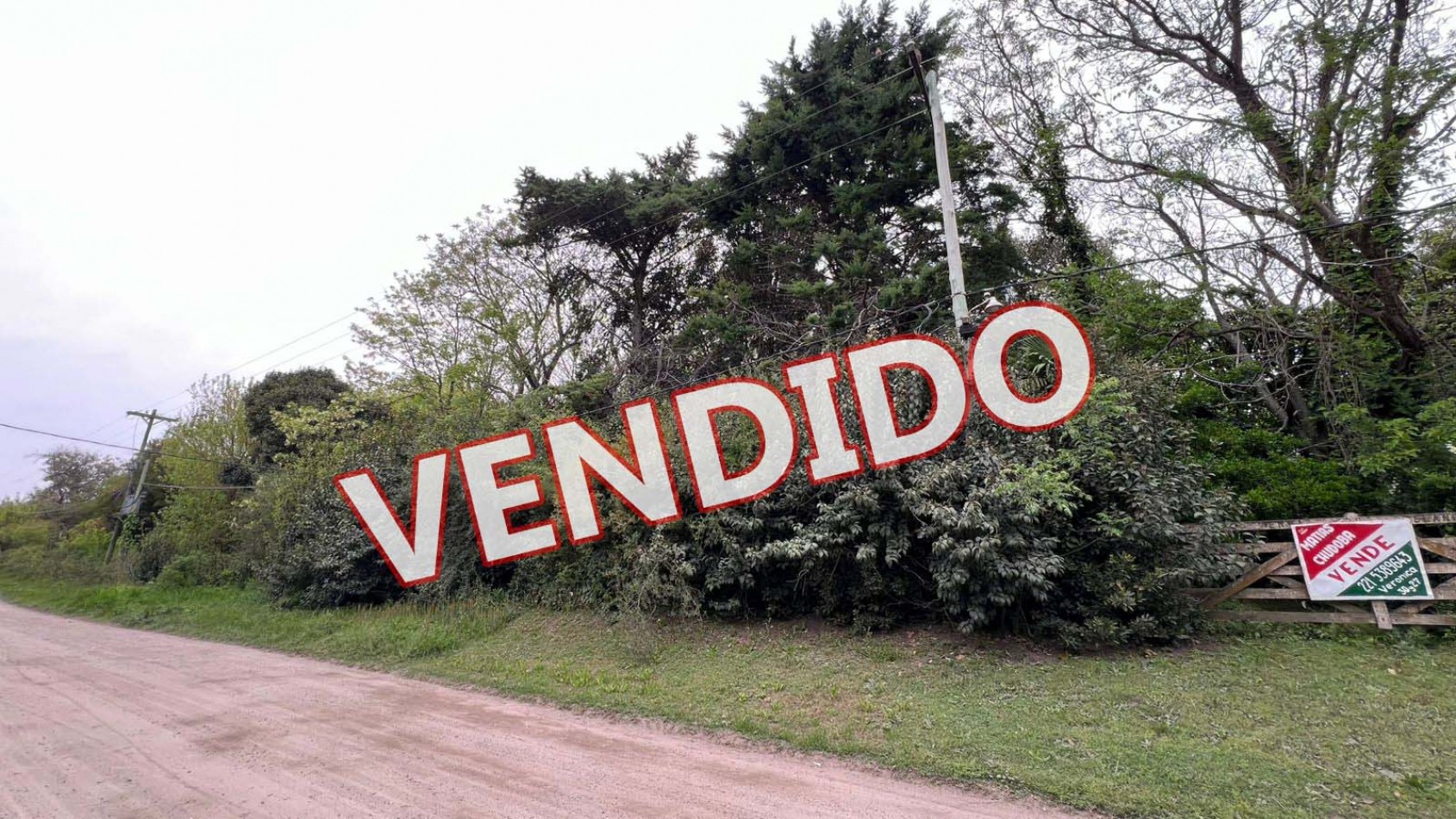 LOTE - VENTA - PUNTA DEL INDIO T-794