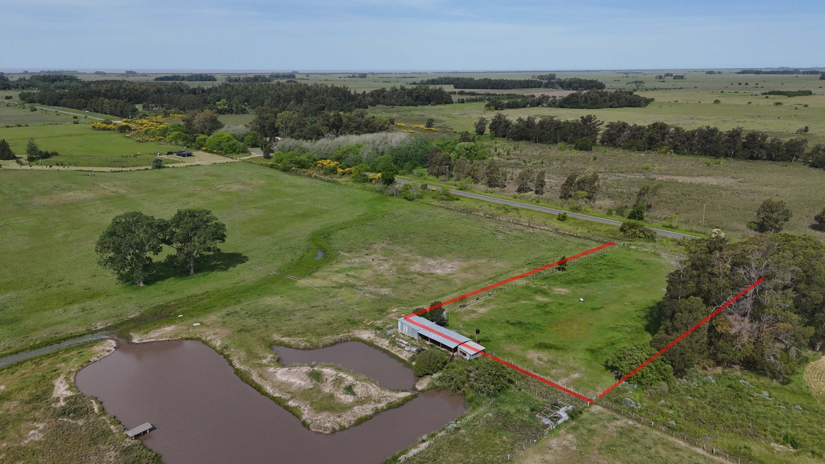 VENTA LOTE VERONICA 5000M² T-809