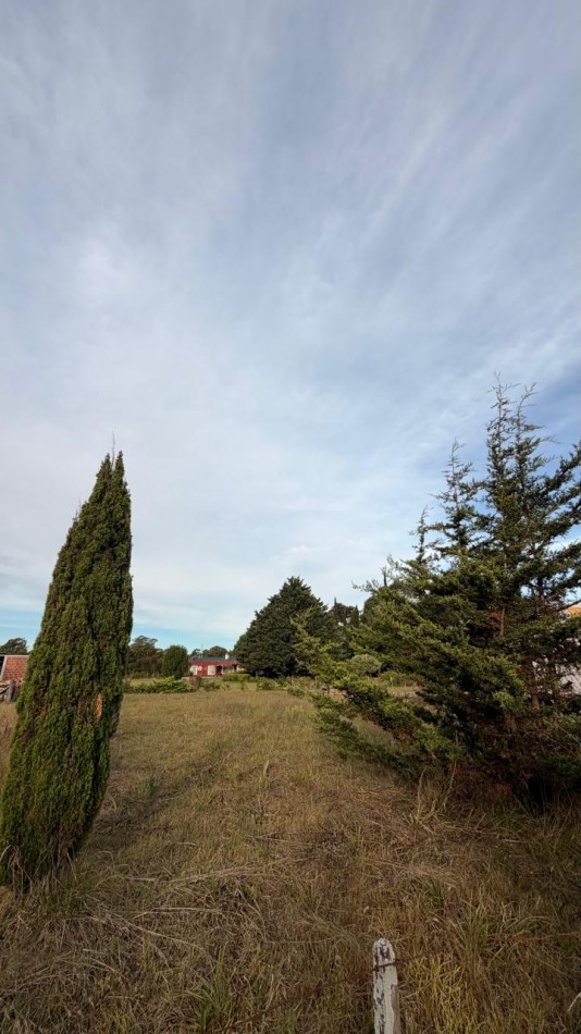 VENTA LOTE 700M² OPORTUNIDAD - VERONICA - T-815