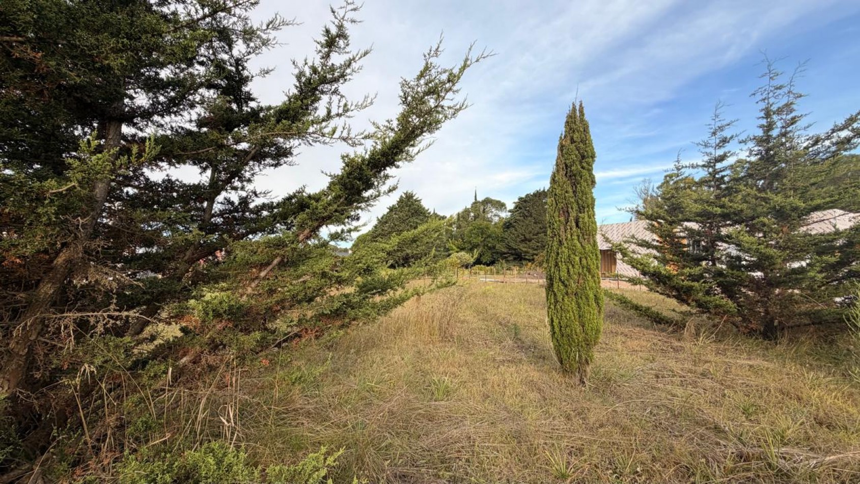 VENTA LOTE 700M² OPORTUNIDAD - VERONICA - T-815