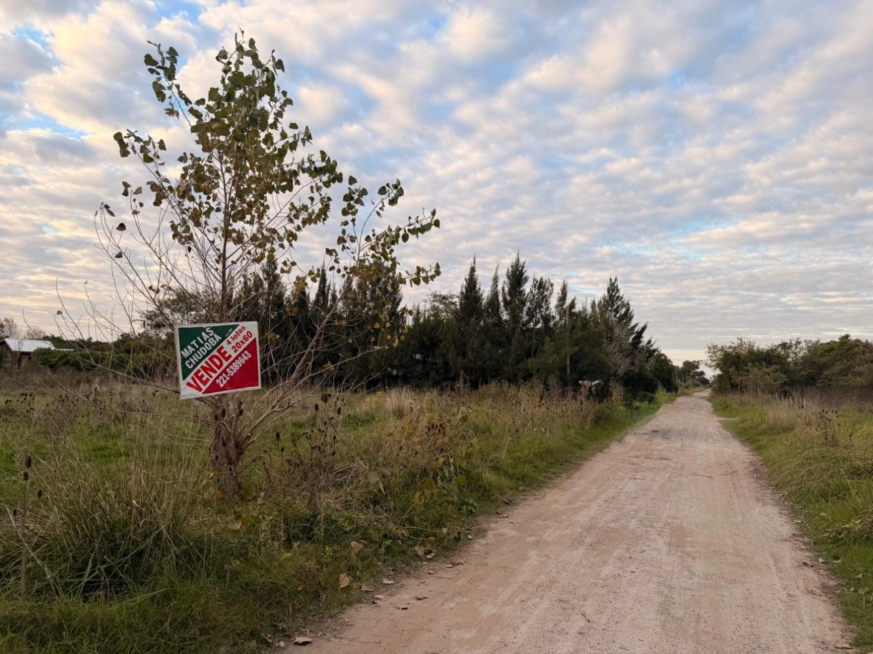 VENTA LOTE DE PUNTA INDIO T-818