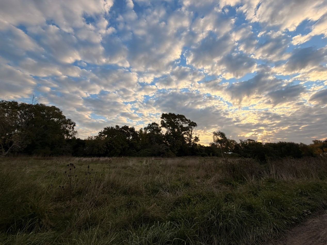 VENTA LOTE DE PUNTA INDIO T-818