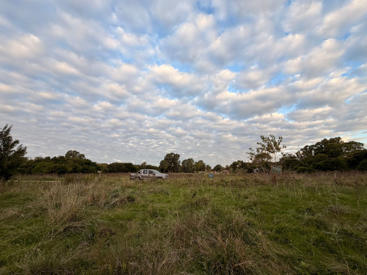 VENTA LOTE DE PUNTA INDIO T-818