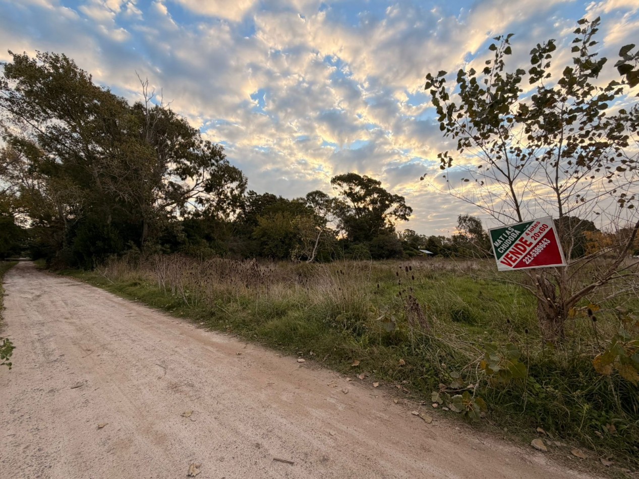 VENTA LOTE DE PUNTA INDIO T-818
