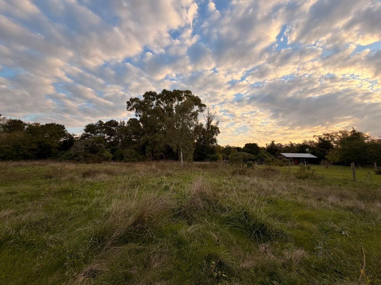 VENTA LOTE DE PUNTA INDIO T-818
