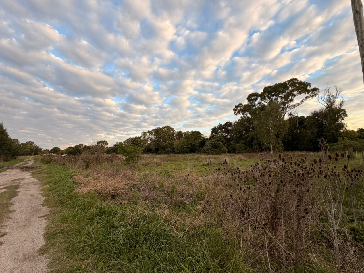 VENTA LOTE DE PUNTA INDIO T-818