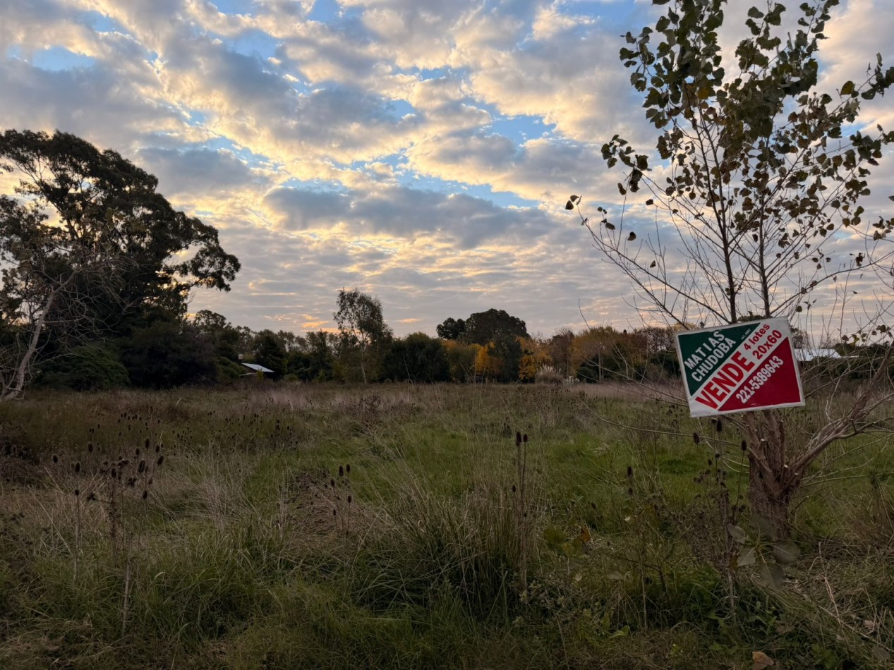 VENTA LOTE DE PUNTA INDIO T-818