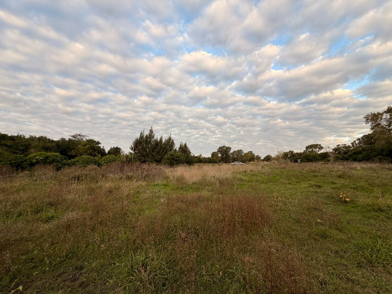 VENTA LOTE DE PUNTA INDIO T-818