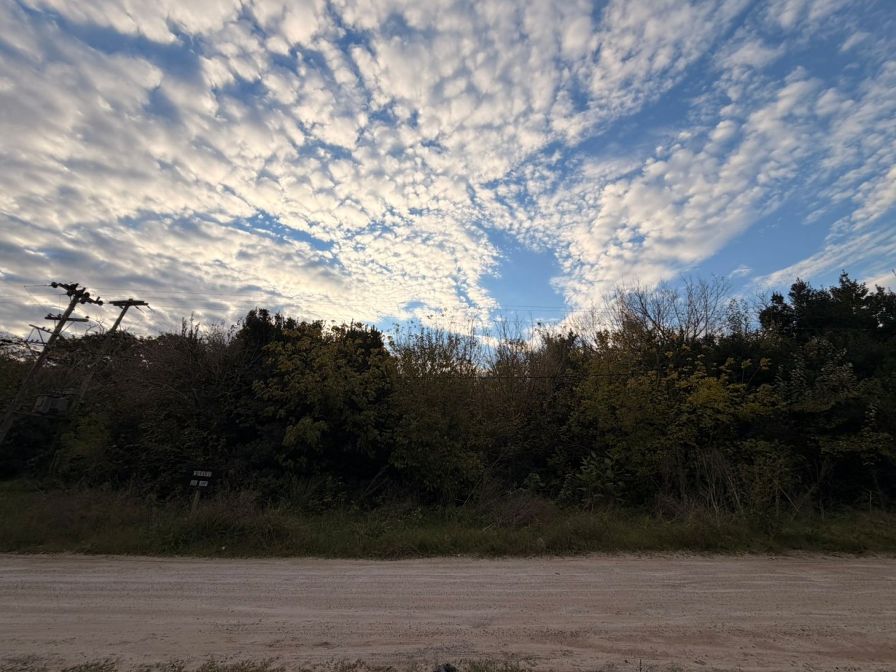 VENTA LOTES PUNTA DEL INDIO T-819