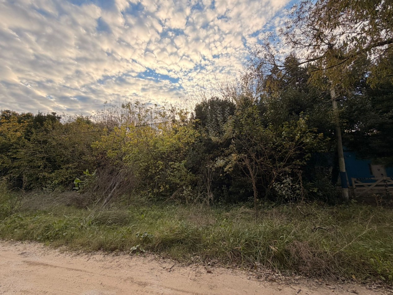 VENTA LOTES PUNTA DEL INDIO T-819