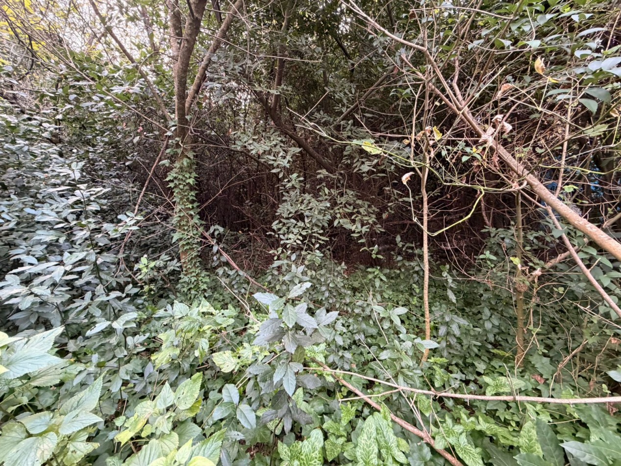 VENTA LOTES PUNTA DEL INDIO T-819