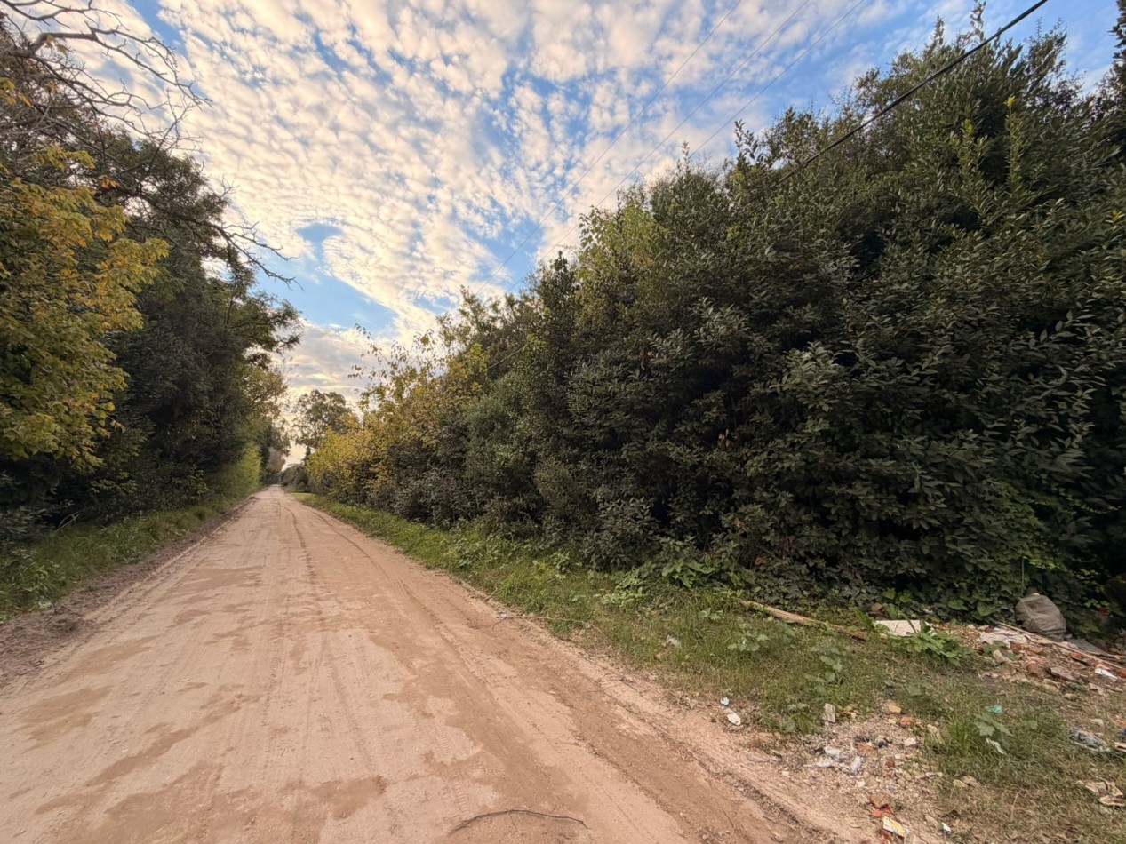 VENTA LOTES PUNTA DEL INDIO T-819