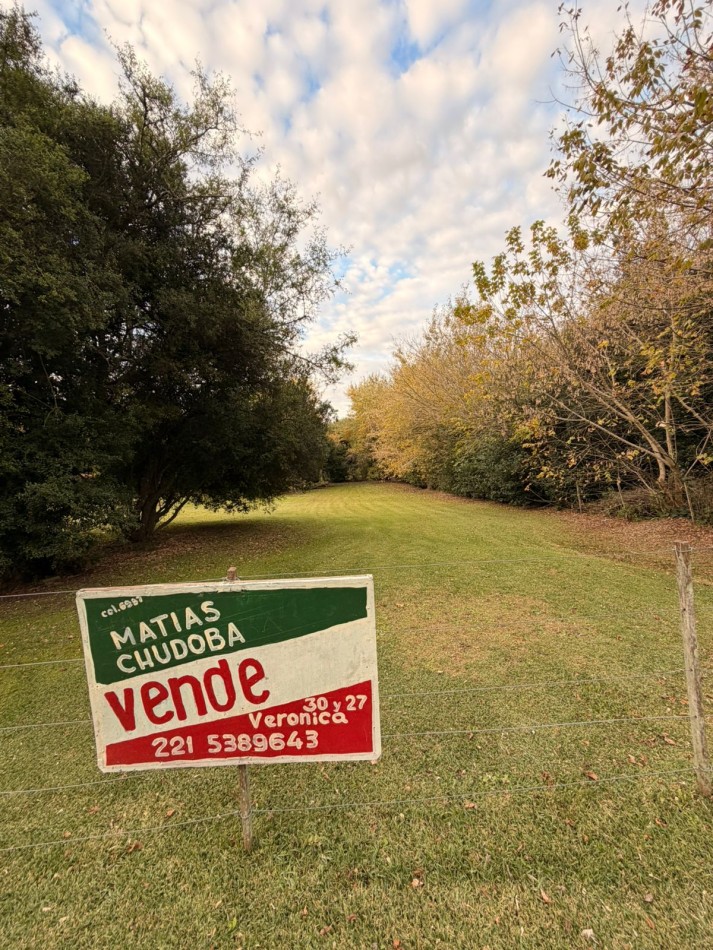 VENTA LOTE PUNTA INDIO
