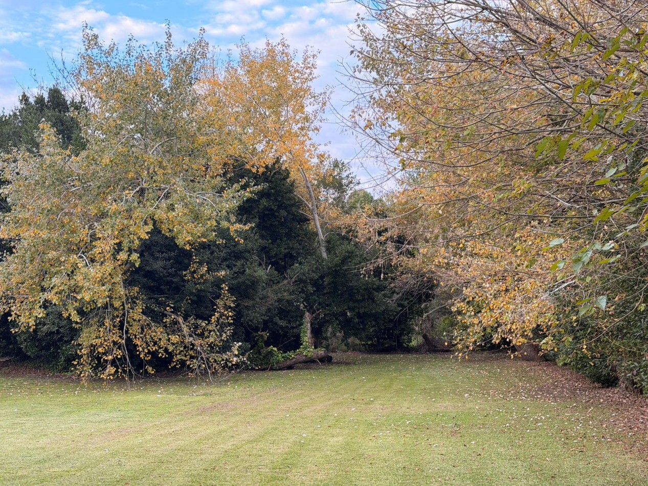 VENTA LOTE PUNTA INDIO