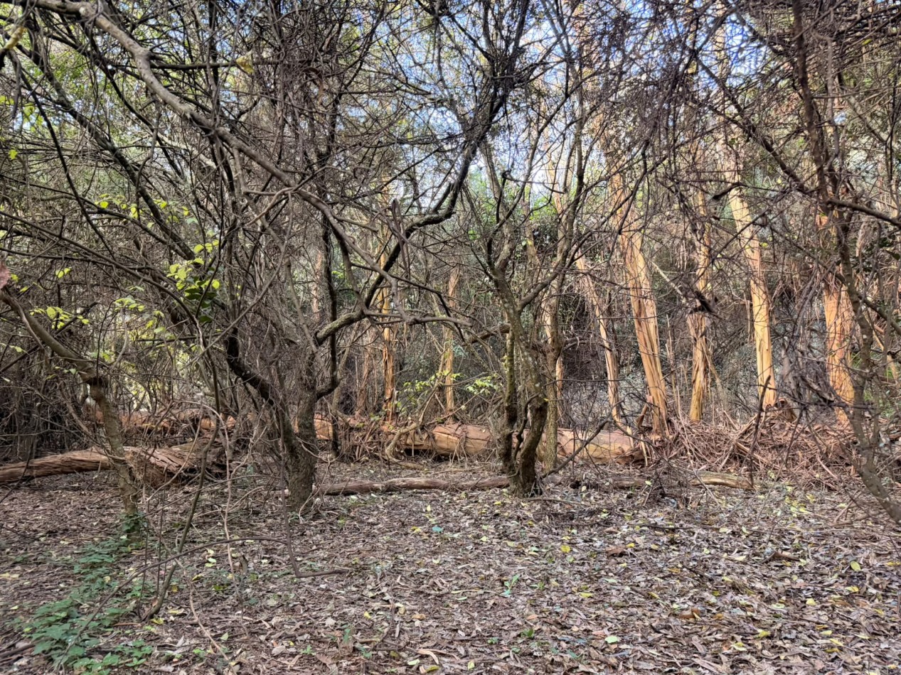 VENTA LOTE PUNTA INDIO 5000M² T-820