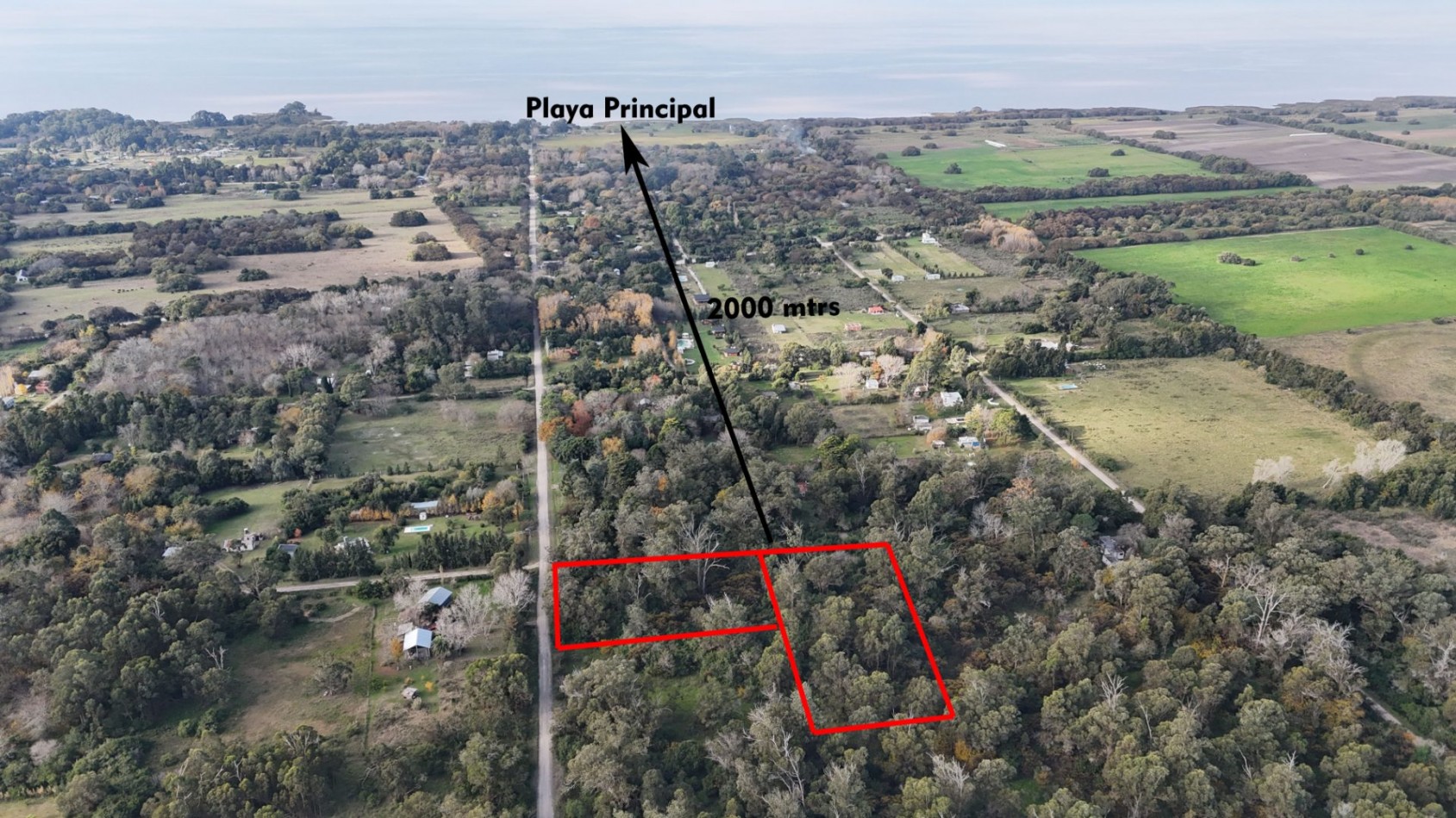 VENTA LOTE 10000M² - 1 HA - PUNTA INDIO