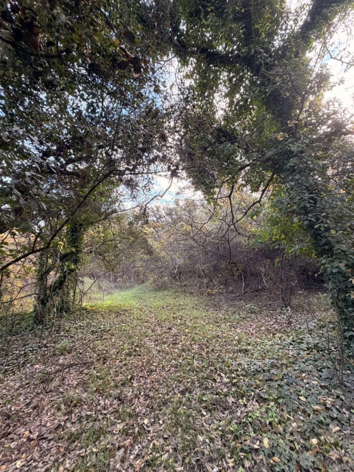 VENTA LOTE 10000M² - 1 HA - PUNTA INDIO