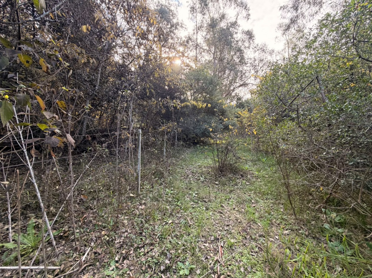 VENTA LOTE 10000M² - 1 HA - PUNTA INDIO